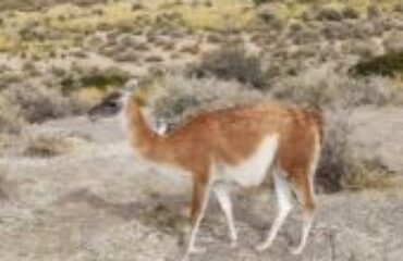xr:d:DAFtZb1-9Tw:3,j:279626319043642599,t:23091623